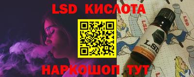 крисы Новодвинск