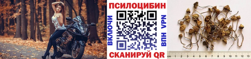 Псилоцибиновые грибы прущие грибы даркнет сайт Клин