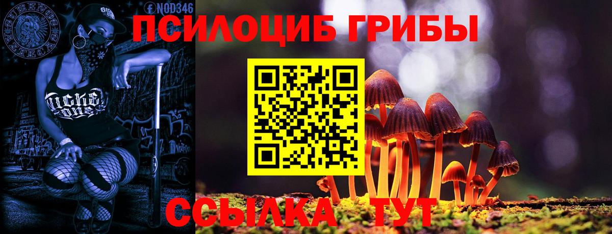 Псилоцибиновые грибы Magic Shrooms  Вход с VPN  Клин 
