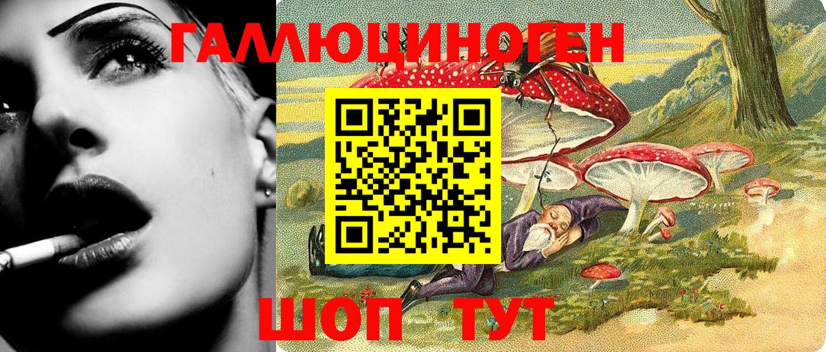 Псилоцибиновые грибы прущие грибы Клин